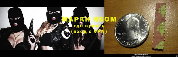 хмурый Магас