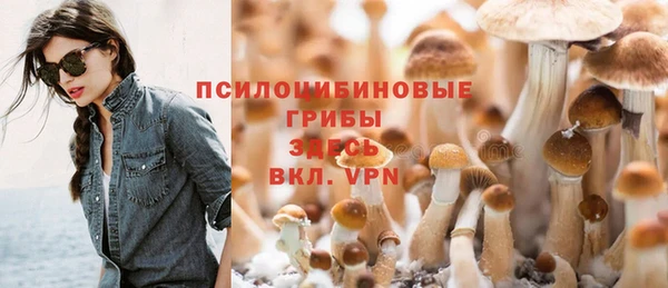 гидра Лихославль