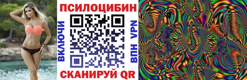 Галлюциногенные грибы ЛСД  закладка  darknet как зайти  Княгинино 